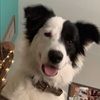 madeline_3799